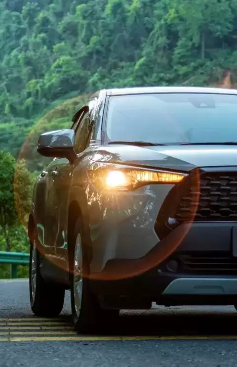 团雾突袭高速公路,科学应对保安全