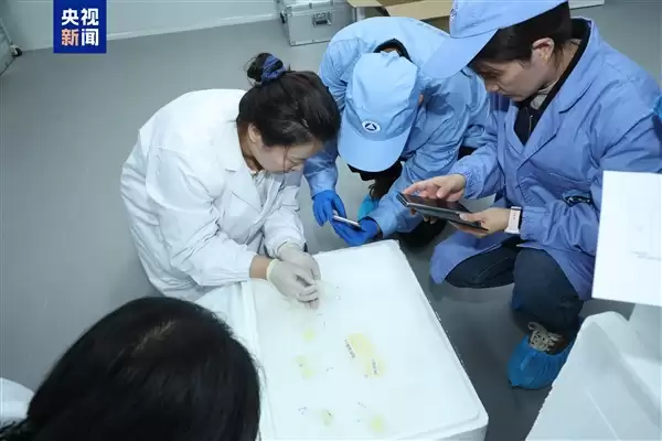 中国空间站第九批实验样品返回并交付科学家：包含四只太空小鼠