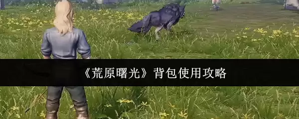《荒野曙光》背包使用攻略