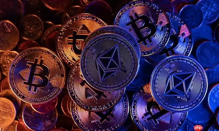 什么是稳定币？为什么它是加密世界最重要的基石之一 - 菜鸟下载