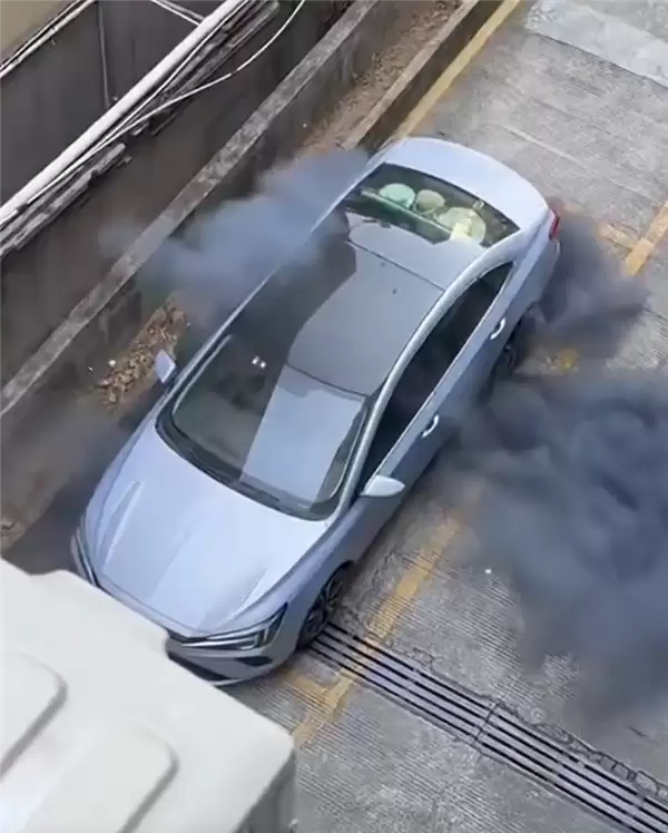网友拍下飞凡ER6自燃全过程:从冒烟到爆燃仅30多秒