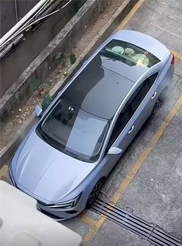 网友拍下飞凡ER6自燃全过程:从冒烟到爆燃仅30多秒