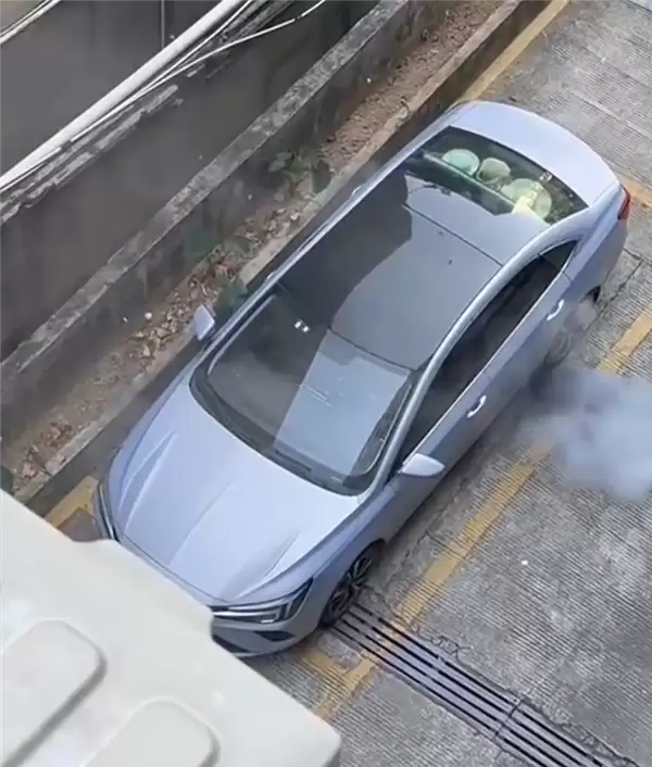 网友拍下飞凡ER6自燃全过程:从冒烟到爆燃仅30多秒