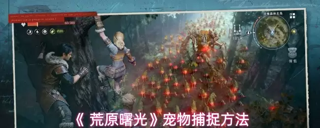 《 荒野曙光》宠物捕捉方法