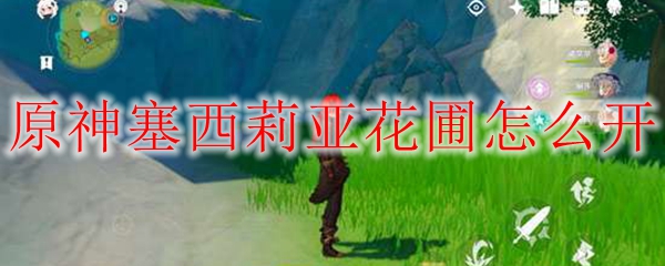原神塞西莉亚花圃怎么开