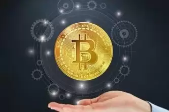中币交易所维护公告
