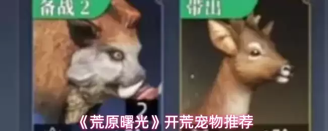 《荒野曙光》开荒宠物推荐