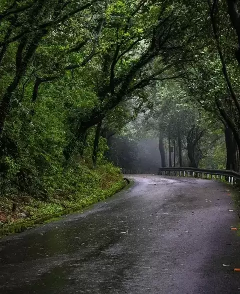 山路驾驶视线管理：看得远、看得宽、看得早