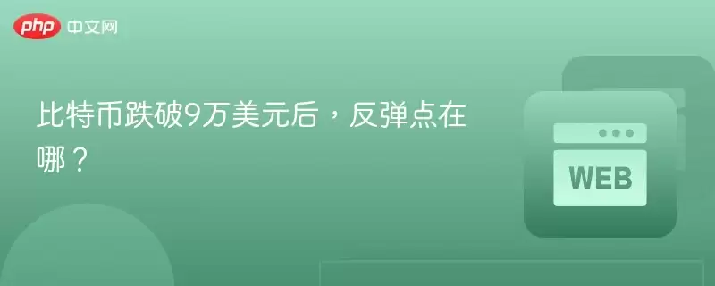 比特币跌破9万美元后,反弹点在哪?