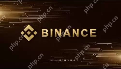 客服小何是什么币?币安新上线项目全解析 - 菜鸟下载