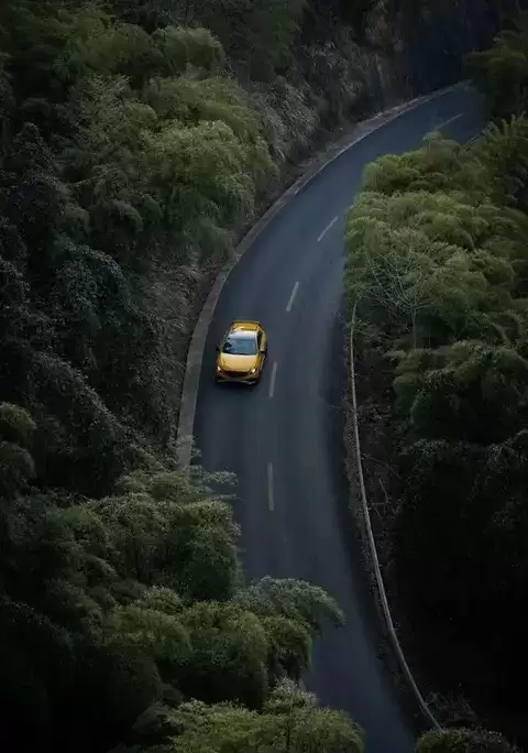 反光标识暗藏玄机：山路弯道中的隐形导航