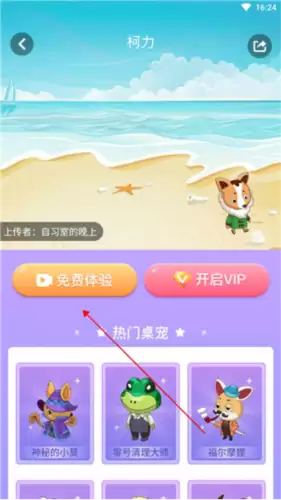小小桌宠app使用说明