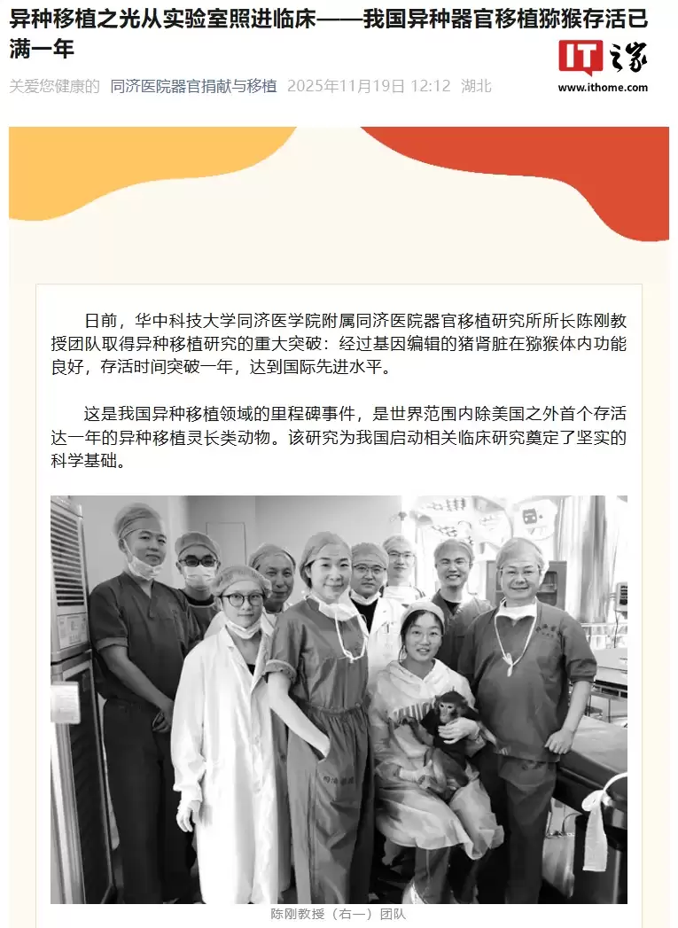 实验到病床“最后一公里”：我国异种器官移植狒狒存活时间突破一年，达到国际先进水平