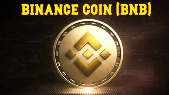 币安Web3钱包一个月4次打新！投入BNB收益率多少？稳赚不赔吗？