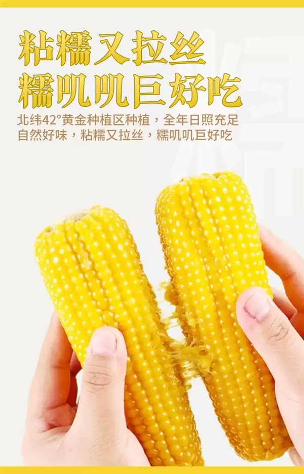 香软黄糯玉米!农投集团精选8棒装限时15.9元