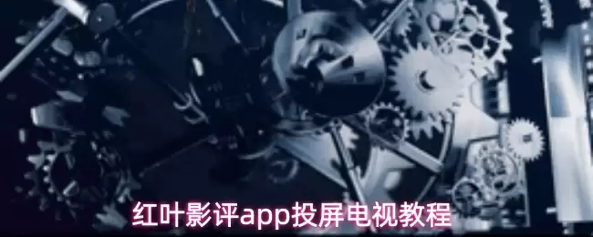 红叶枫影app投屏电视教程