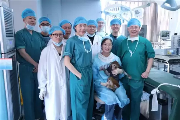 美国之外首个！我国异种器官移植猕猴存活已满一年