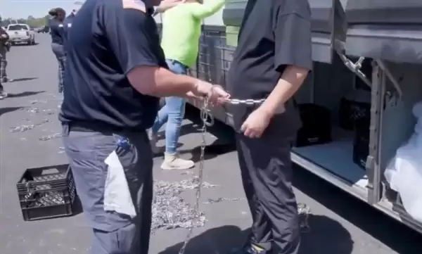 现代汽车CEO：白宫已就突袭美国韩工厂给自己道歉