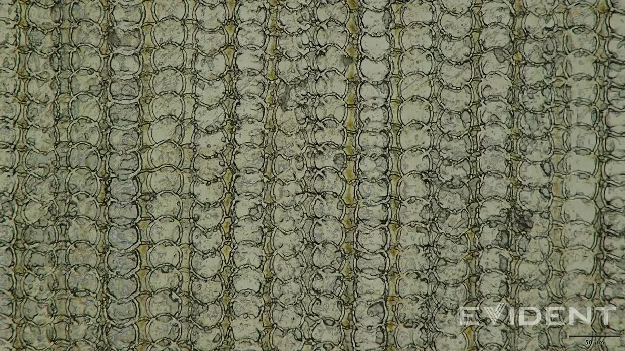 iFixit 剖解苹果 iPhone Air 的 USB-C 接口，首用3D打印金属组件