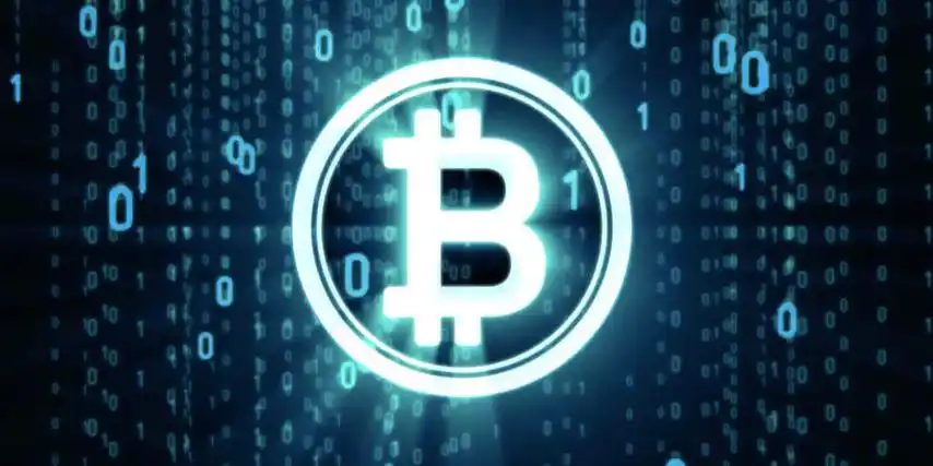 狗狗币和比特币的区别_主要差异对比 - 菜鸟下载
