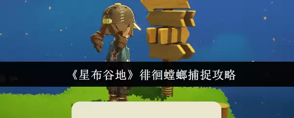 《星布谷地》徘徊萤火虫捕捉攻略