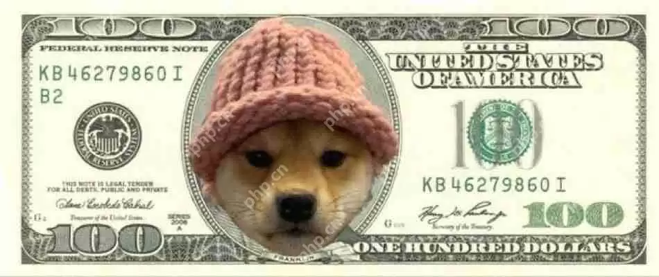 另一个爆炸性的加密公牛跑步正在进行中,索拉纳模因硬币再次领导集会。