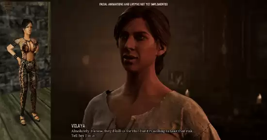 哥特王朝重制版因审查争议引玩家不满