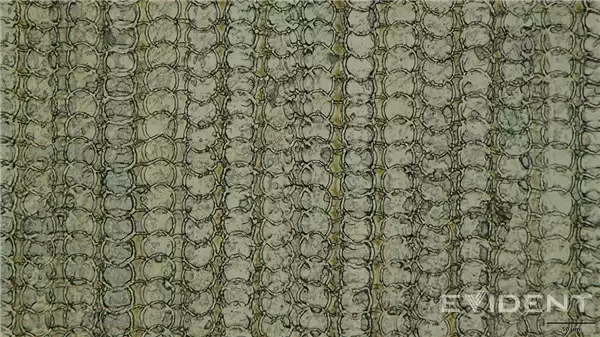 苹果又一突破：iPhone Air USB-C接口采用3D打印技术