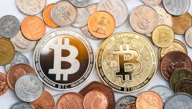 币圈黑话大全:HODL, FOMO, FUD...一文让你秒变老韭菜 - 菜鸟下载