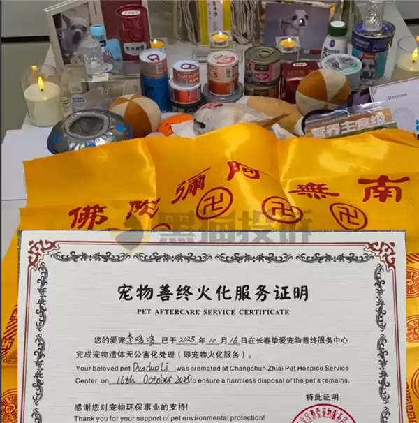 宠物医院氧气爆炸 16岁狗狗受惊吓死亡 主人:医院拒绝赔偿