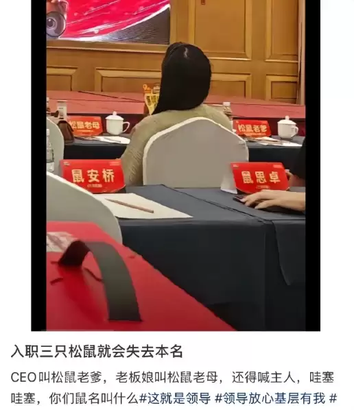 三只松鼠企业文化引热议：员工都有“鼠名” CEO叫松鼠老爹