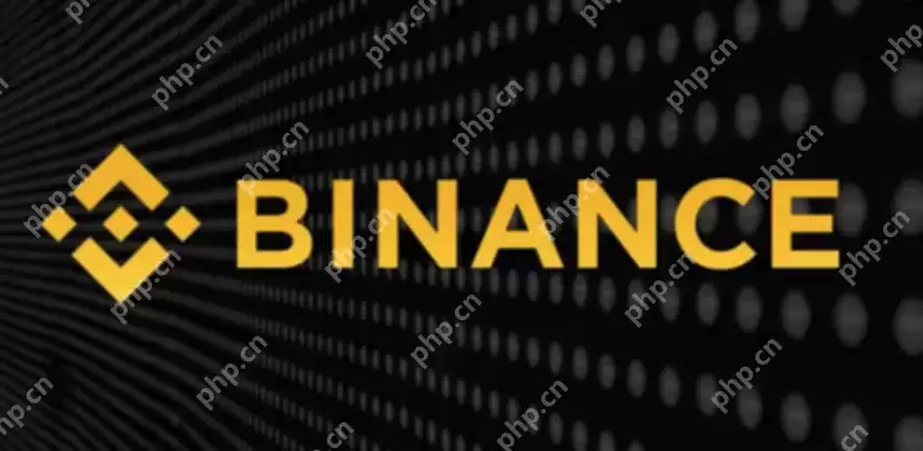 币安binance应用入口 币安热门稳定增强v3.9.5APP快速下载 - 菜鸟下载