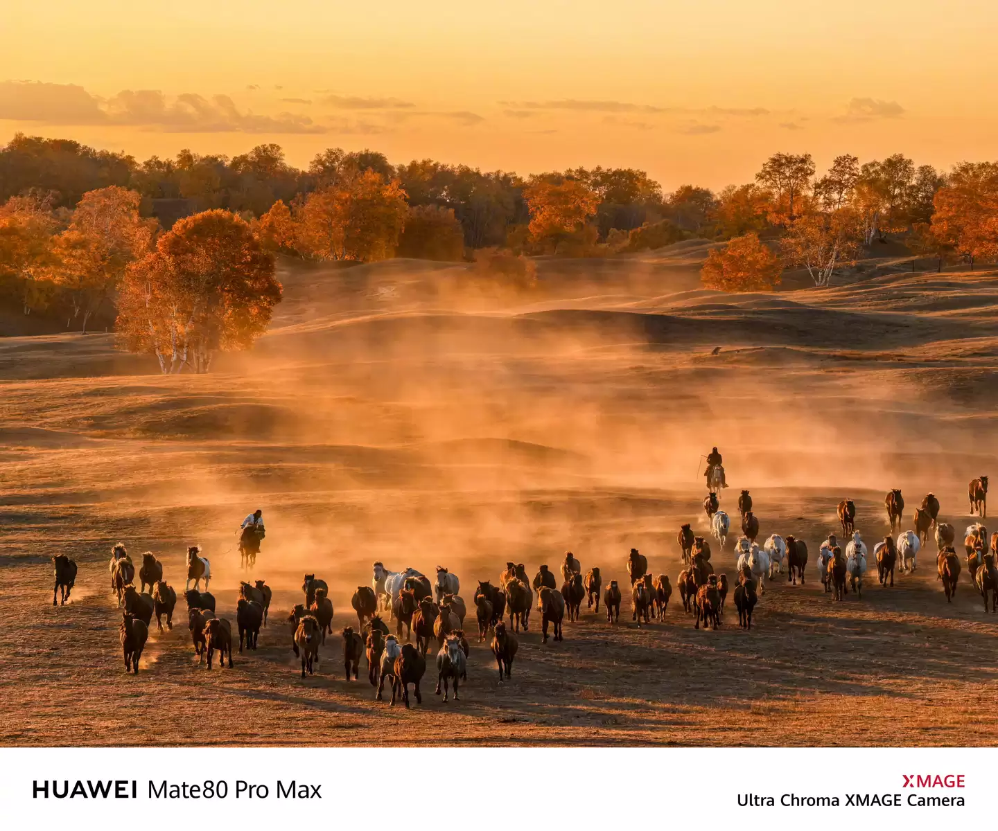 华为 Mate 80 系列新机影像预热,支持电影风格拍摄、长焦微距视频等