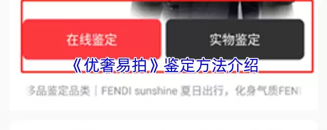 《优奢易拍》鉴定方法介绍