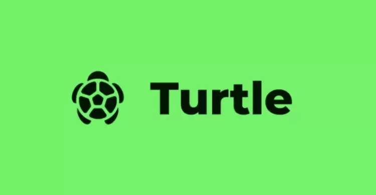Turtle（TURLE）币是什么？怎么样？TURLE代币经济与未来前景分析 - 菜鸟下载