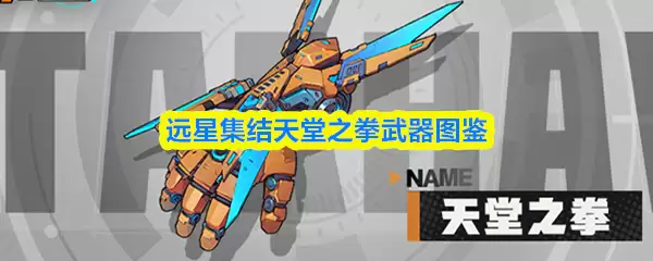 远星集结天堂之拳武器图鉴