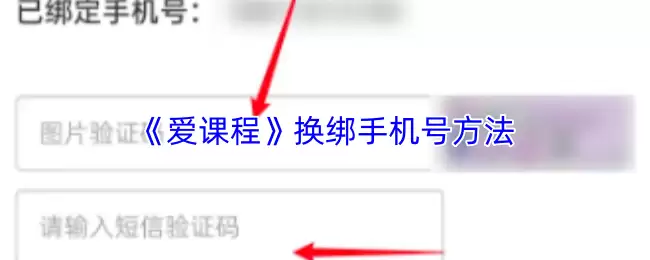 《爱课程》换绑手机号方法