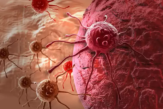 社会行为影响癌症演化：合作物种更抗癌