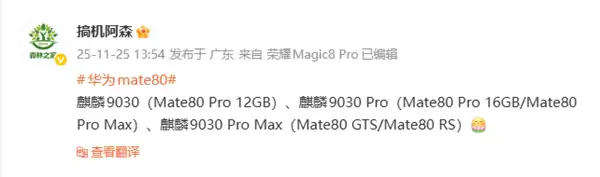 华为Mate 80系列共3款处理器:麒麟9030、麒麟9030 Pro、麒麟9030 Pro Max