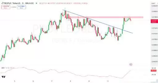 PEOPLE币价格预测2025-2030:PEOPLE币会达到1美元吗？