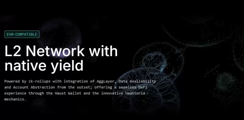 什么是HAUST币？HAUST代币经济学、团队背景、特点、使用方法介绍