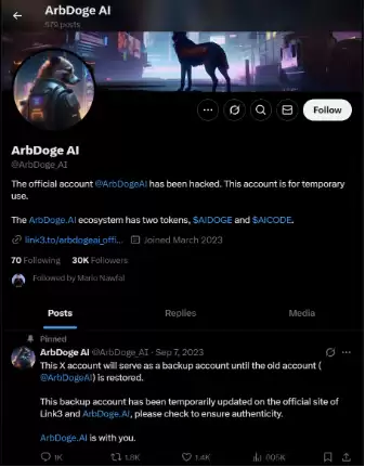 AIDOGE 价格暴涨!是否将迎来10 倍的上涨?