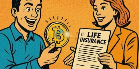 与此同时,比特币寿险公司Meanwhile融资4000万美元!Framework Ventures与Fulgur Ventures共同领投