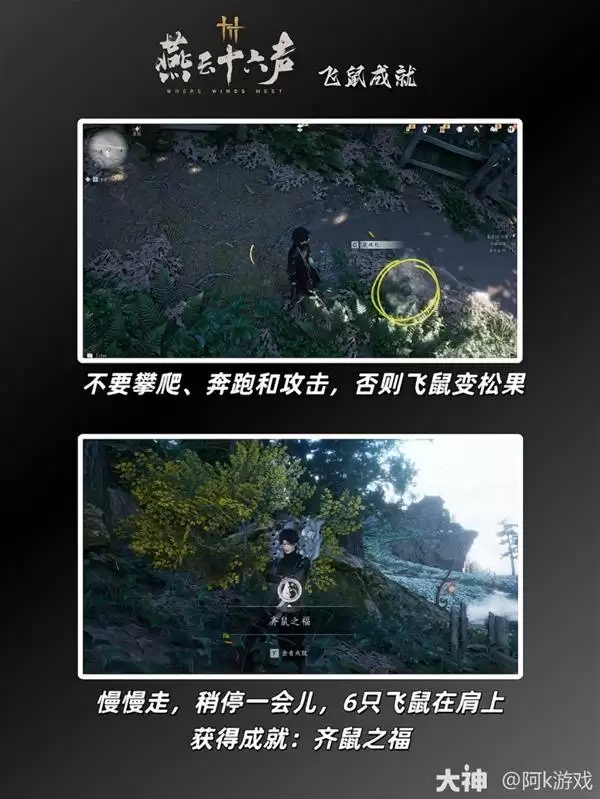 燕云十六声飞鼠成就攻略