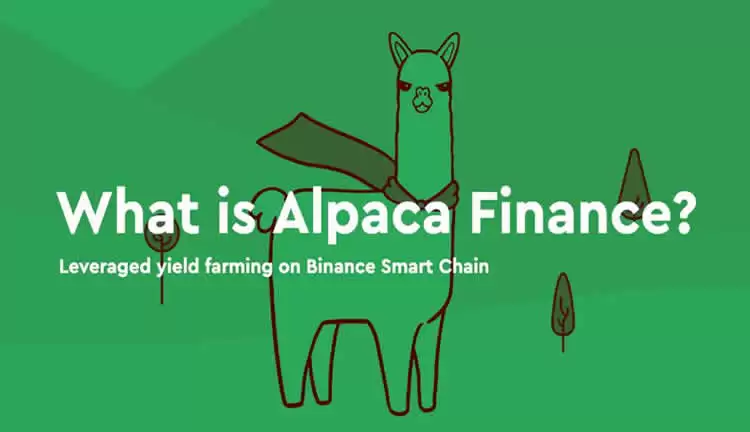 ALPACA币是什么？下架币安后币价飙涨,$ALPACA未来前景如何？
