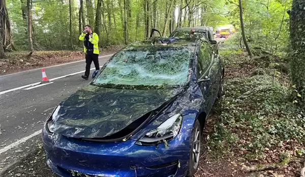 特斯拉Model 3被大树砸中护住乘客安全 车主又提新车支持马斯克