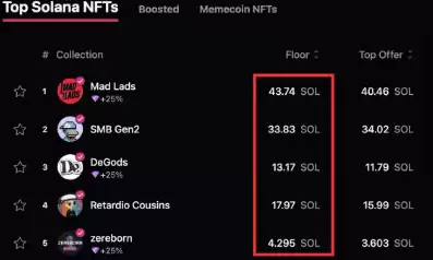 SOL 币崛起!从高速公链到 Meme 币天堂的全面解析
