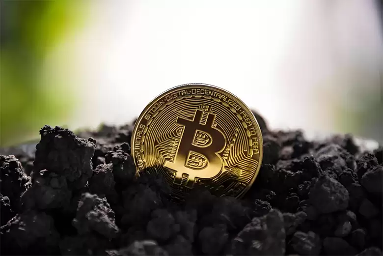 2025 年各国政府持有多少比特币？一文介绍