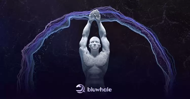 Bluwhale Network(BLUAI)币是什么?如何参与空投,未来潜力如何?