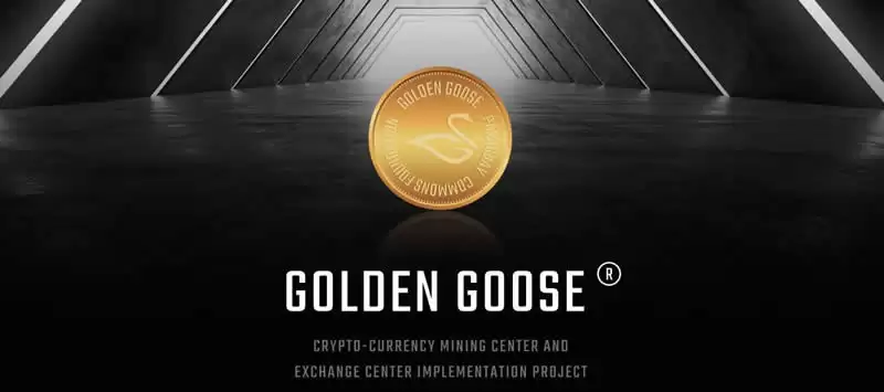 GOLD是什么币种？GOLD/黄金鹅币项目全面介绍